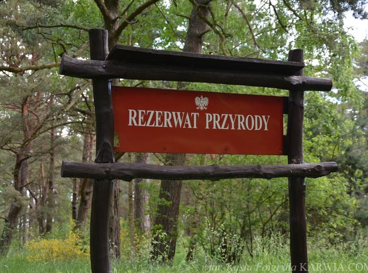 Ścieżka przyrodniczo-leśna w Białogórze