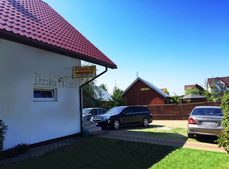 Dzika R&oacute;ża ?v=1.0